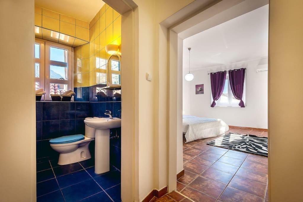 Old Town Experience Apartment 科托尔 外观 照片